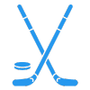 Icon Hockey