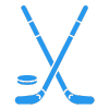Icon Hockey